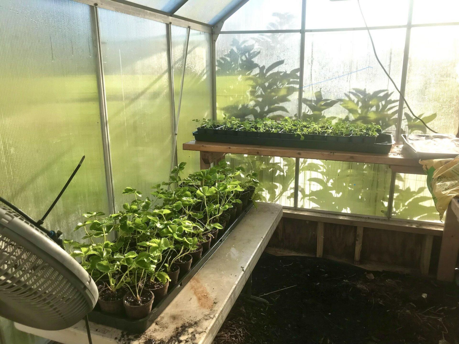 1418 NW 141st Street, Okeechobee, FL 34972 Photo