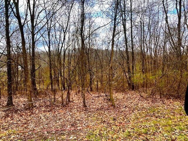 217 Valleybrook Circle, Howard, OH 43028 Main Photo