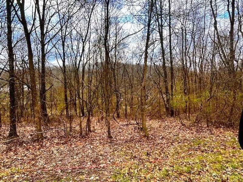 217 Valleybrook Circle, Howard, OH 43028 Photo 1