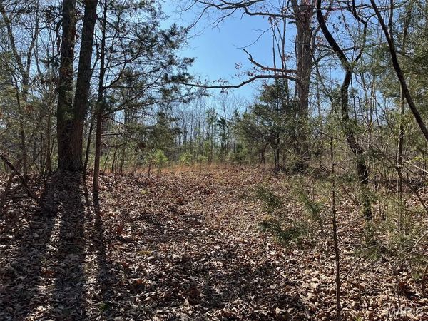 Tract #3 Lake Road, Silva, MO 63964