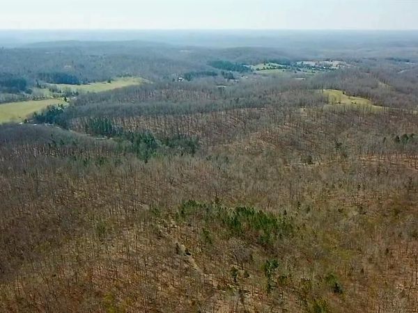 Parcel #2 Lake Road , Silva, MO 63964