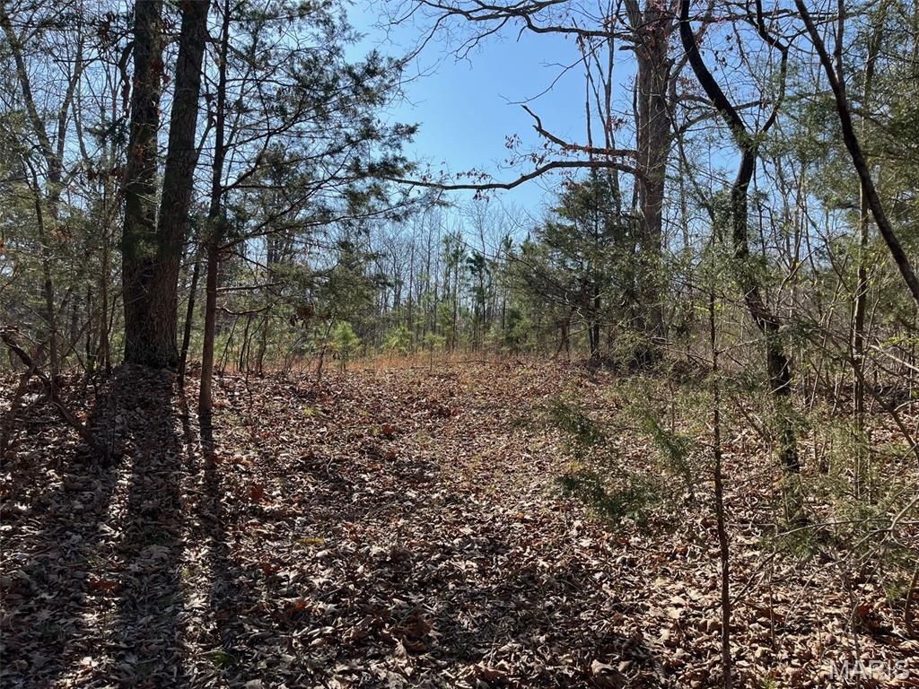Tract #3 Lake Road, Silva, MO 63964 Main Photo