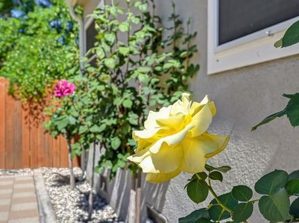 3422 David Way, Sacramento, CA 95820 Photo