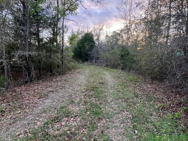 5372 Sonic Drive , Marianna, FL 32448