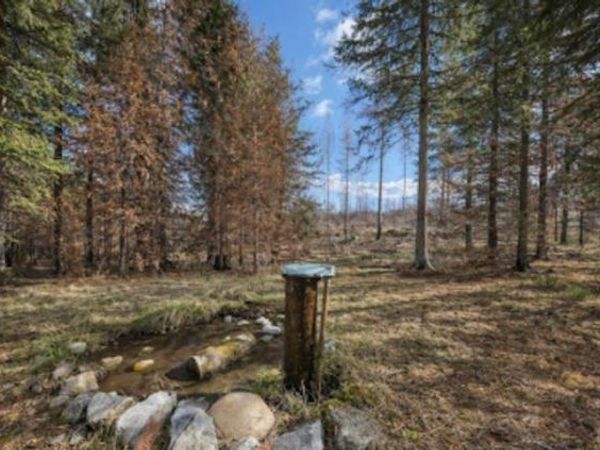 2433 B Widow Rd, Colville, WA 99114