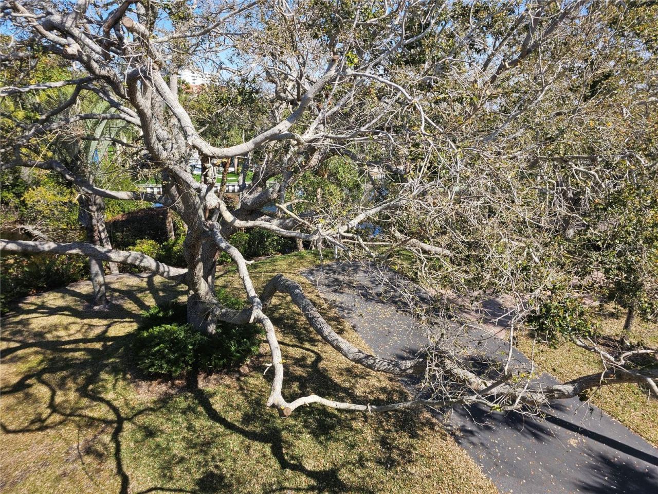 225 Hourglass Way, Unit 303, Sarasota, FL 34242 Photo