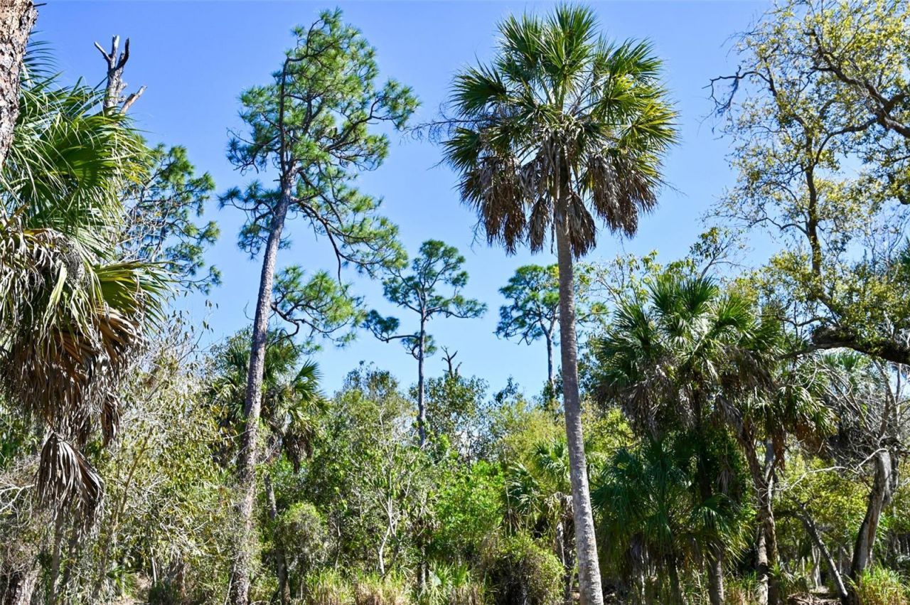 22901 Bayshore Road, Punta Gorda, FL 33980 Photo