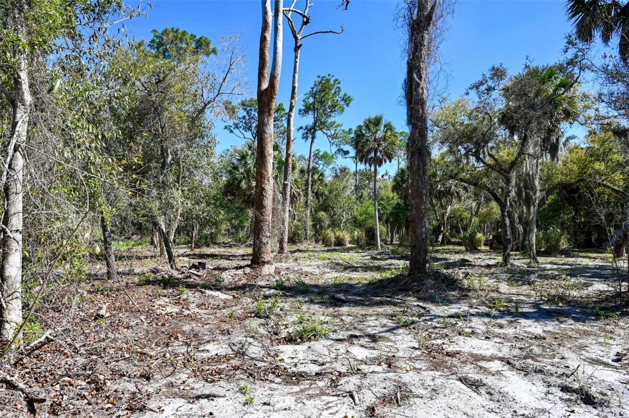 22901 Bayshore Road, Punta Gorda, FL 33980 Photo