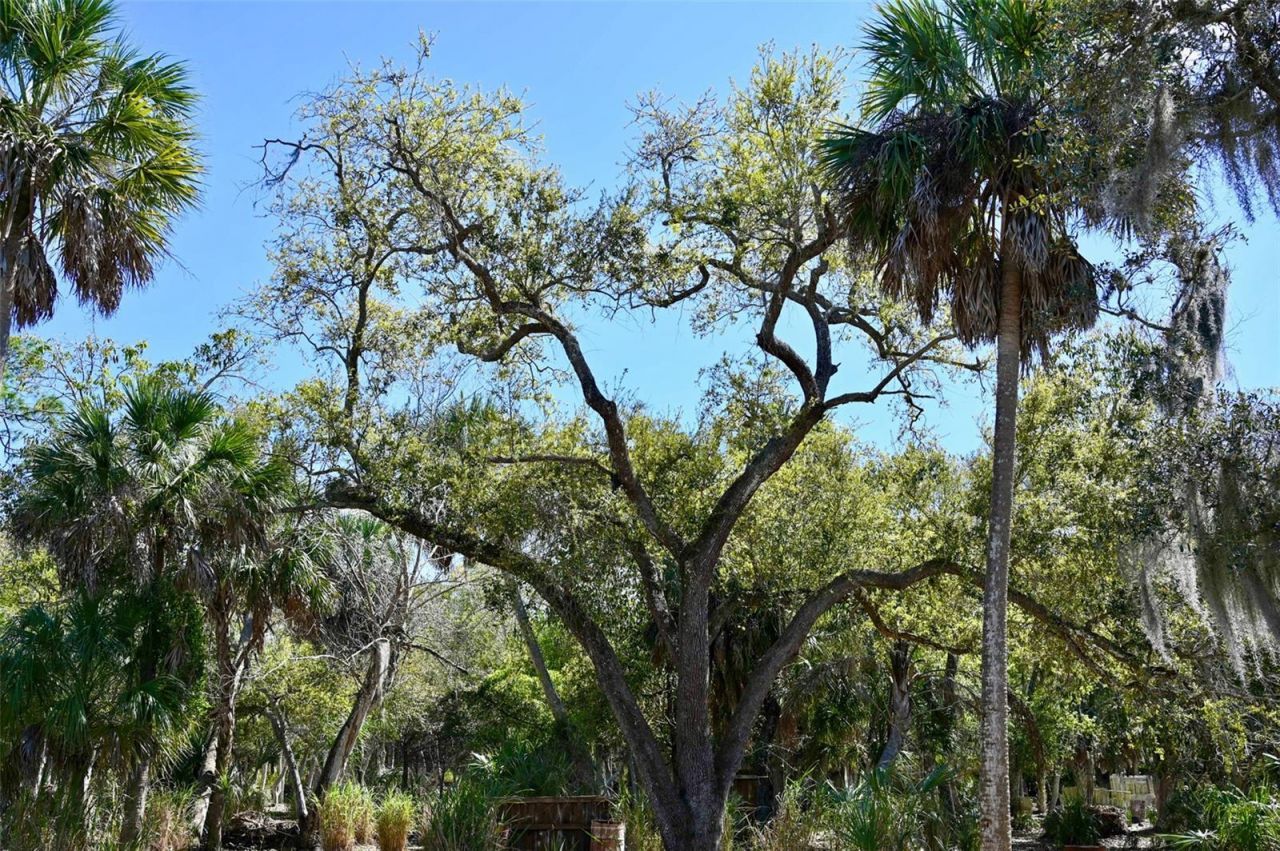 22901 Bayshore Road, Punta Gorda, FL 33980 Photo