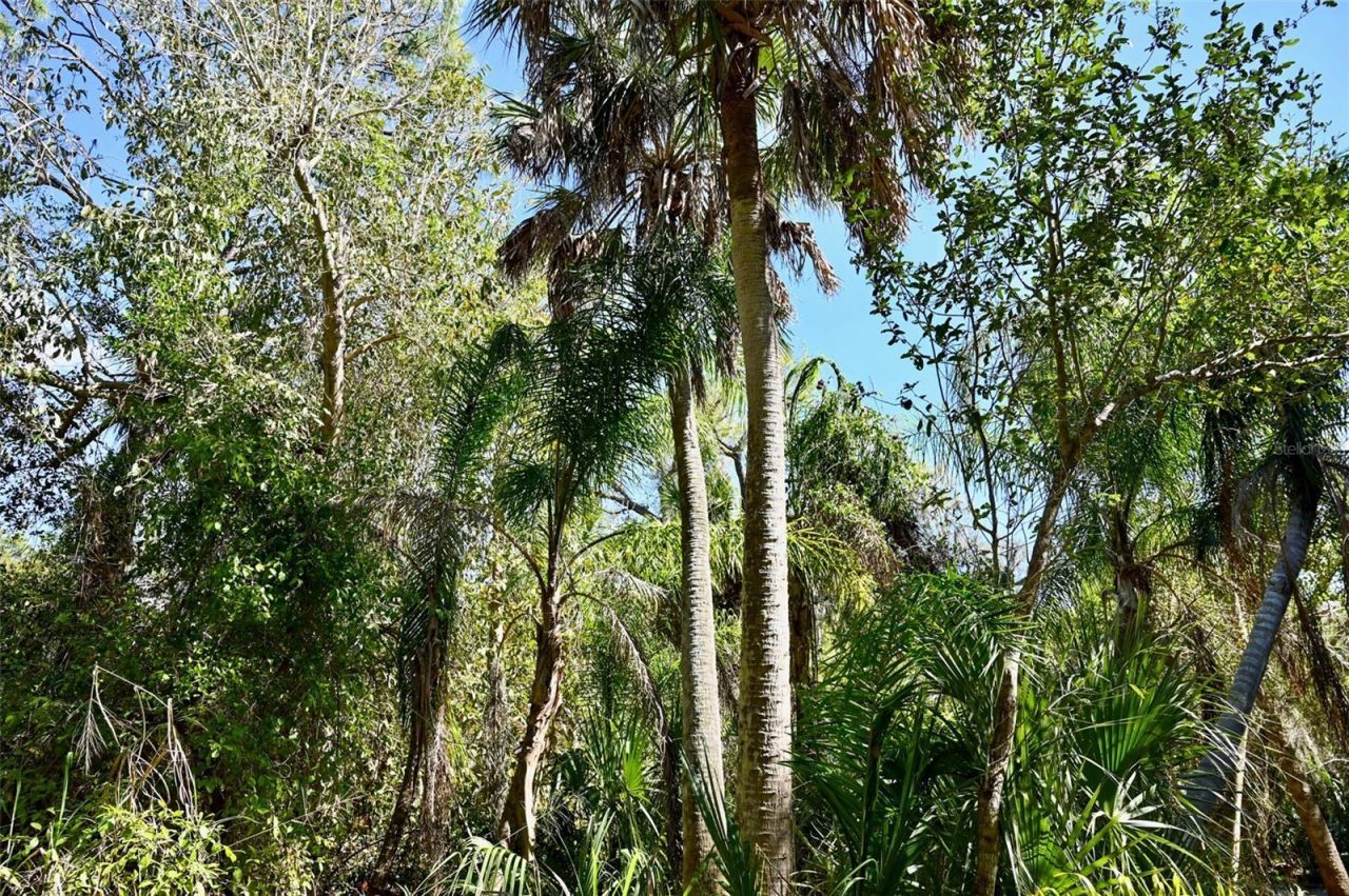 22901 Bayshore Road, Punta Gorda, FL 33980 Photo