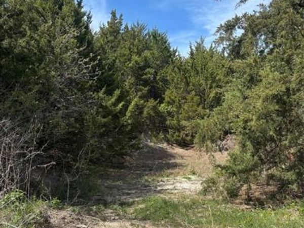 TBD Fm 66, Waxahachie, TX 75167