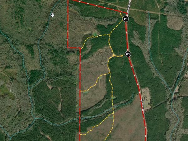 205+/- Woodard Road, Greenville, GA 30222