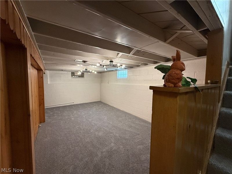 17201 Martha Road, Cleveland, OH 44135 Photo 19