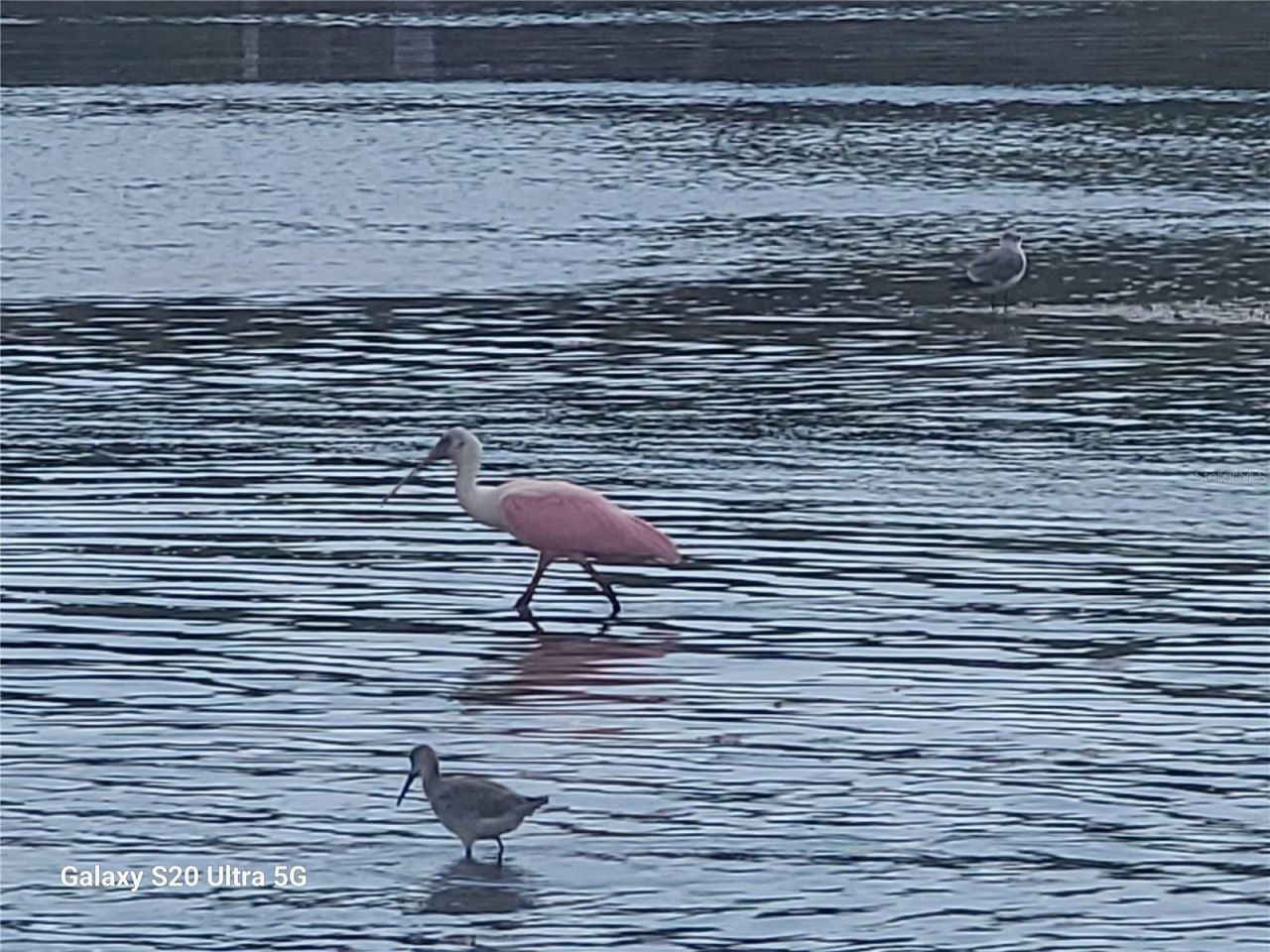 360 Gulf Of Mexico Drive , Unit 312, Longboat Key, FL 34228 Photo