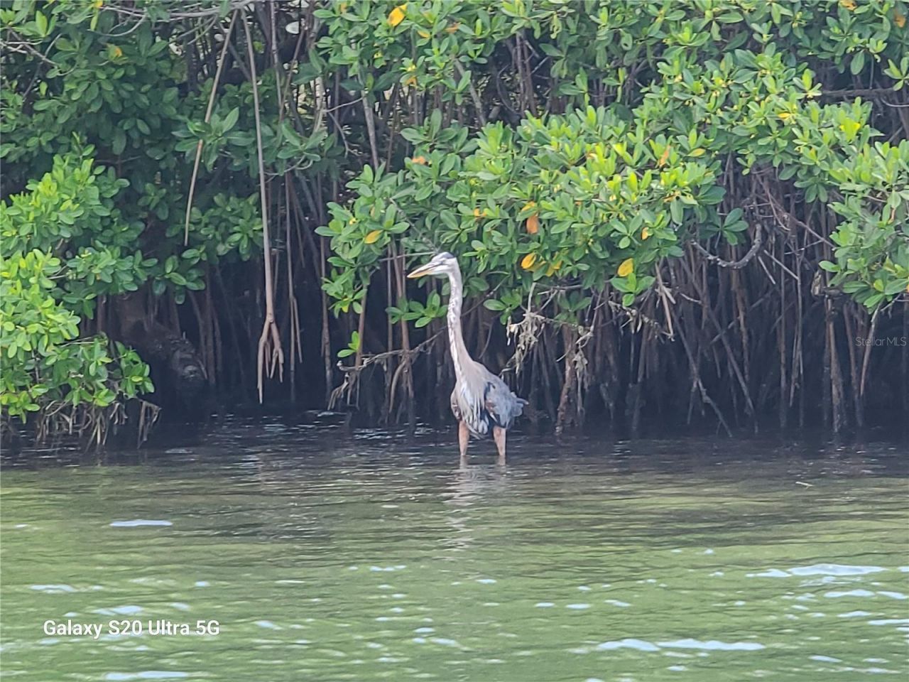 360 Gulf Of Mexico Drive , Unit 312, Longboat Key, FL 34228 Photo