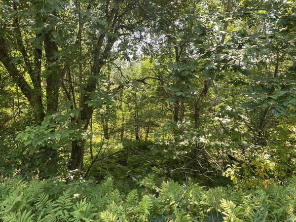 Map1Lot25 Taylor Road, Athens, ME 04912