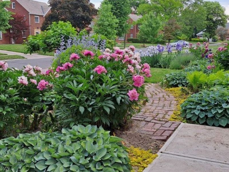 3814 Bushnell Road, University Heights, OH 44118 Photo 2