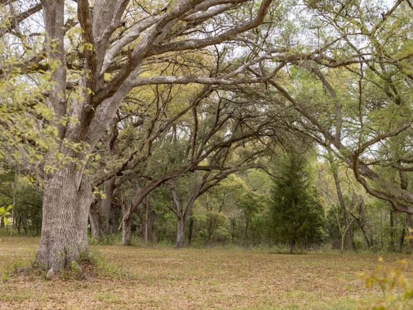 000 129TH DR., McAlpin, FL 32062