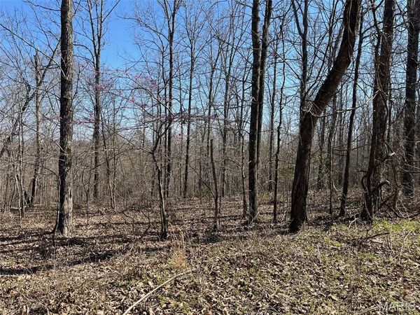 Tract #4 Lake Road, Silva, MO 63964