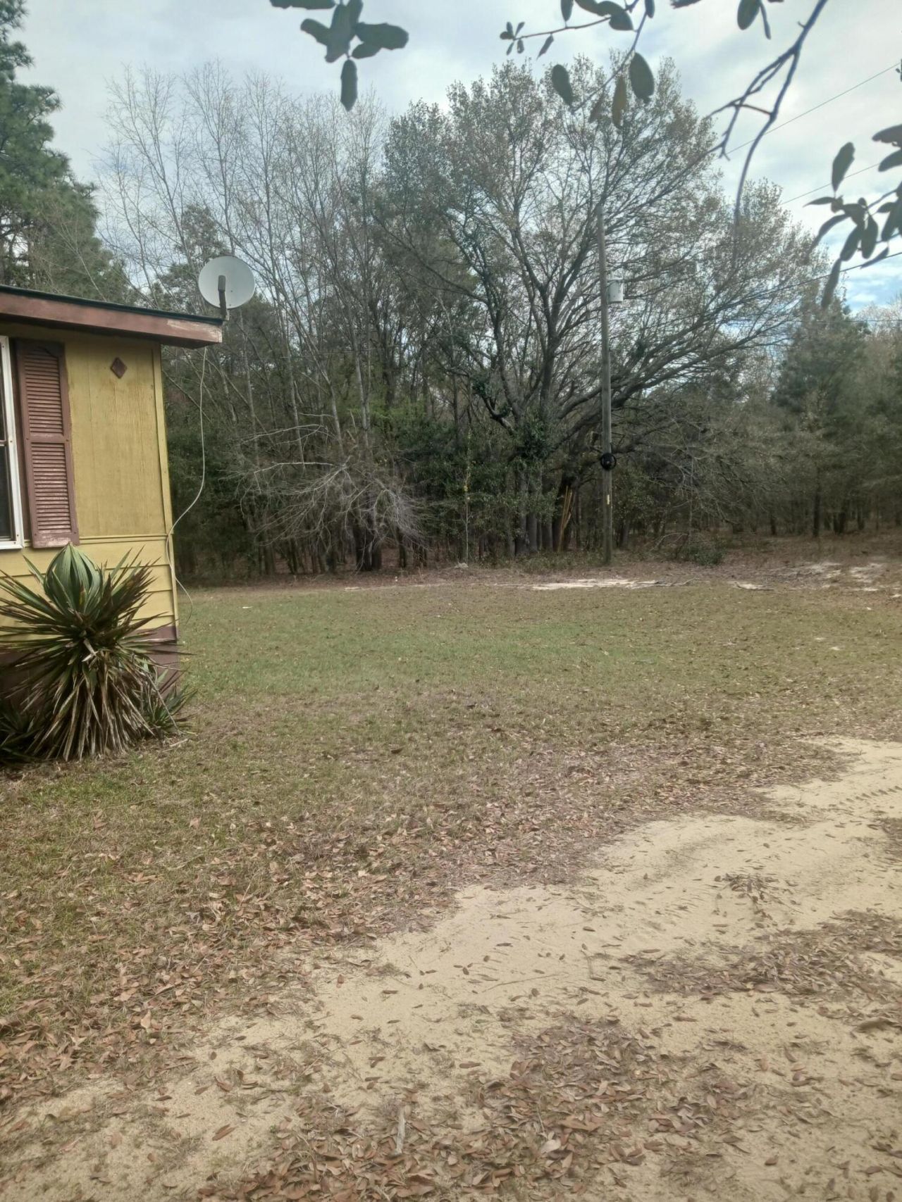 159 Ju Ju Lane Photo 11