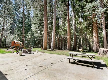 33837 Nary Red Rd, Alta, CA 95701 Photo