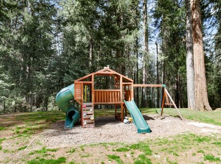 33837 Nary Red Rd, Alta, CA 95701 Photo