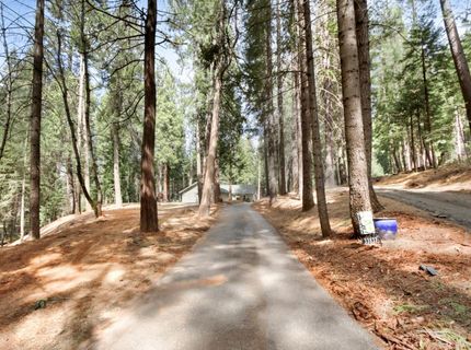 33837 Nary Red Rd, Alta, CA 95701 Photo