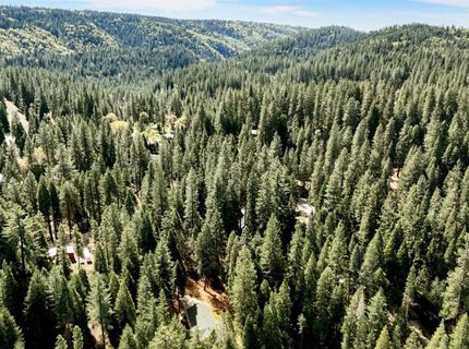 33837 Nary Red Rd, Alta, CA 95701 Photo