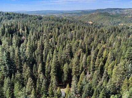 33837 Nary Red Rd, Alta, CA 95701 Photo