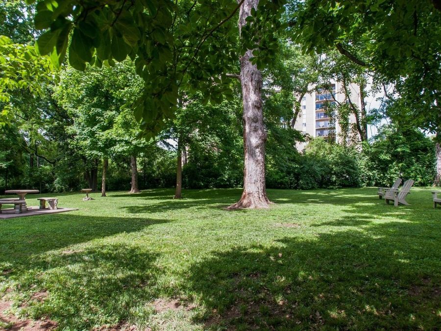 Property Image 58