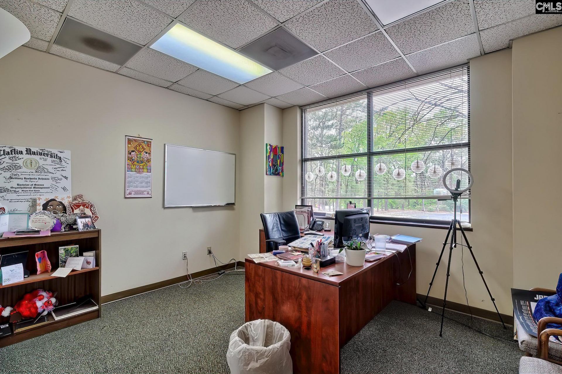 13 Harbison Way  Photo 54