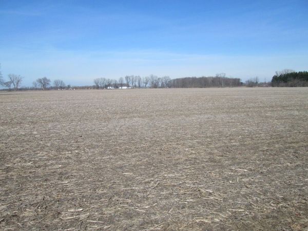 V/L W Lemon Creek Road, Unit 2, Baroda, MI 49101