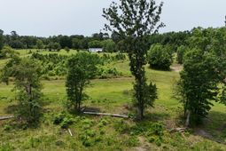 1701 Dawson Branch Road photo 4