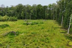 1701 Dawson Branch Road photo 4