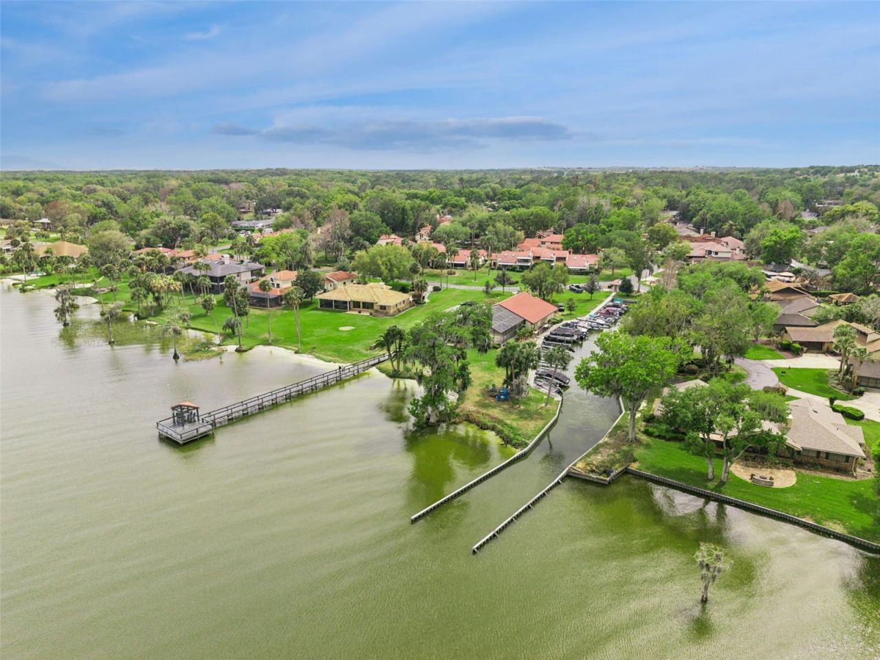 312 Waterwood Drive , Yalaha, FL 34797 Photo