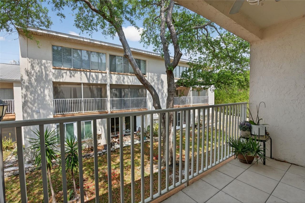 657 99th Avenue N, Unit 202, Saint Petersburg, FL 33702 Photo