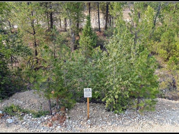 Lot 58 Mores Creek Dr, Idaho City, ID 83631