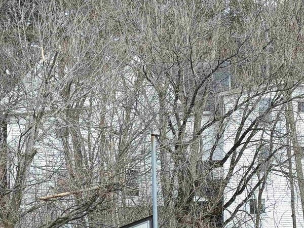 75 W Main Street, Littleton, NH 03561