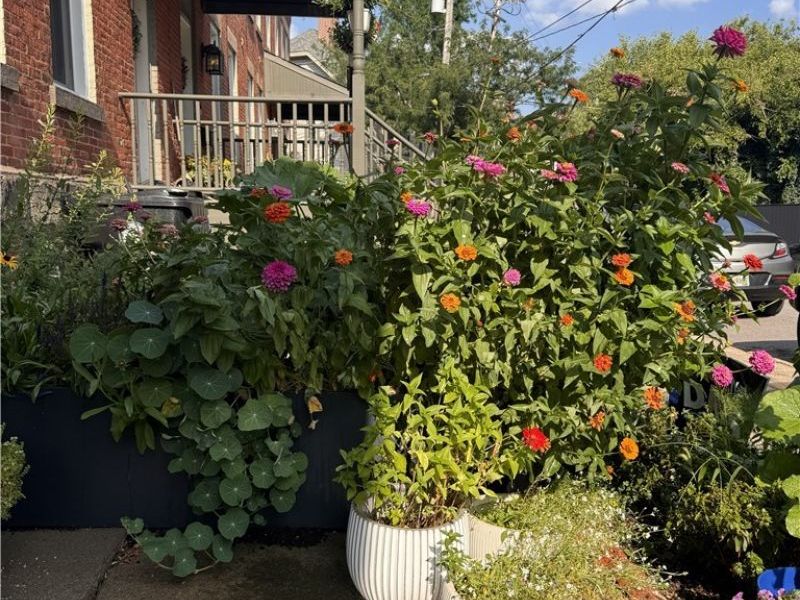 3064 Mabel Court, Unit 5, Cleveland, OH 44113 Photo 28