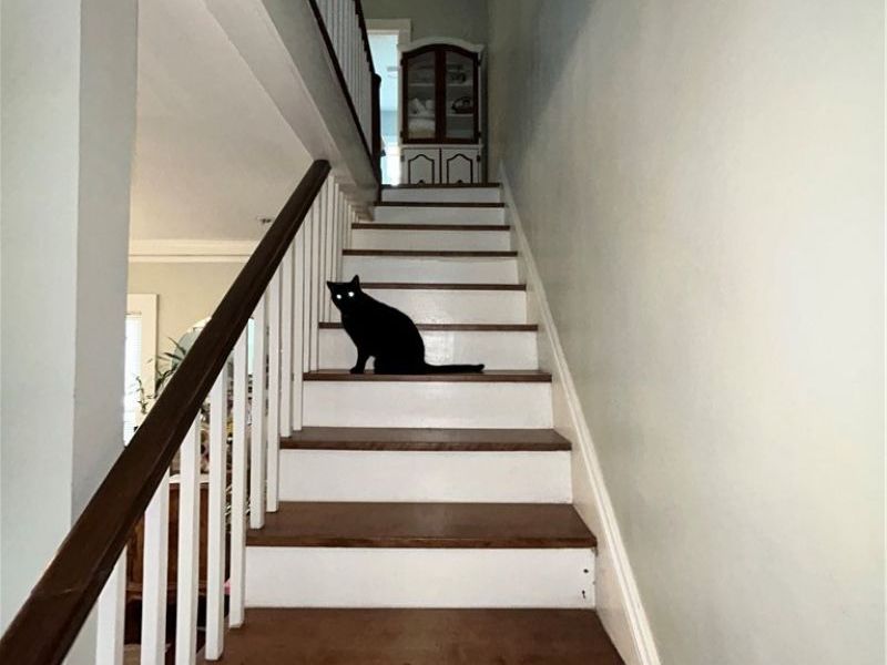 1305 W 106th Street, Cleveland, OH 44102 Photo 21