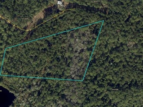 Parcel #1 Brio Lane, Brunswick, GA 31523