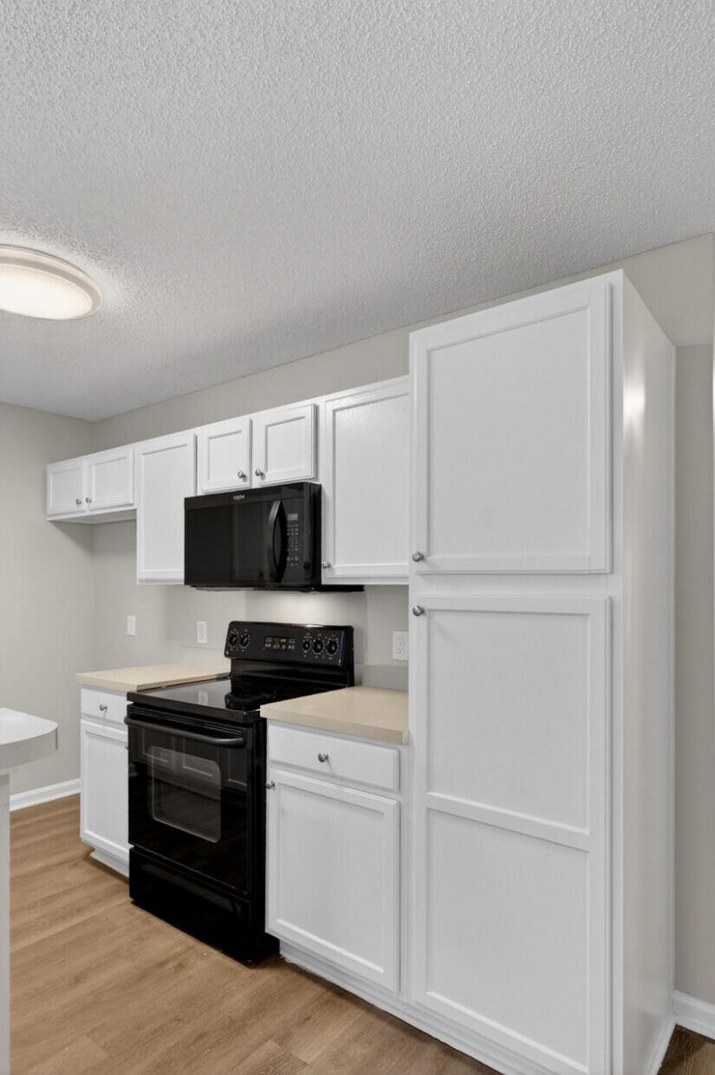 1009 Friartuck Trail Photo 10