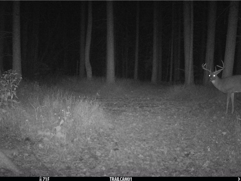 2210 Scroll Road SW, Carrollton, OH 44615 Photo 38