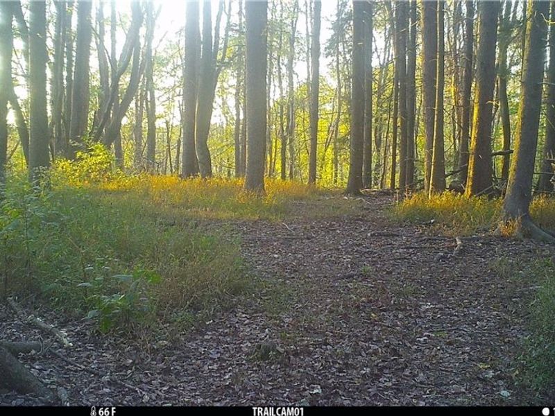 2210 Scroll Road SW, Carrollton, OH 44615 Photo 39