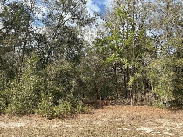 9299 GOODSTONE DRIVE , WEBSTER, FL 33597