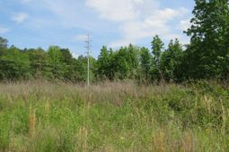 220 Cedarcrest Drive photo 4