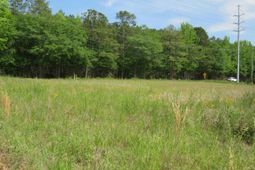 220 Cedarcrest Drive photo 4