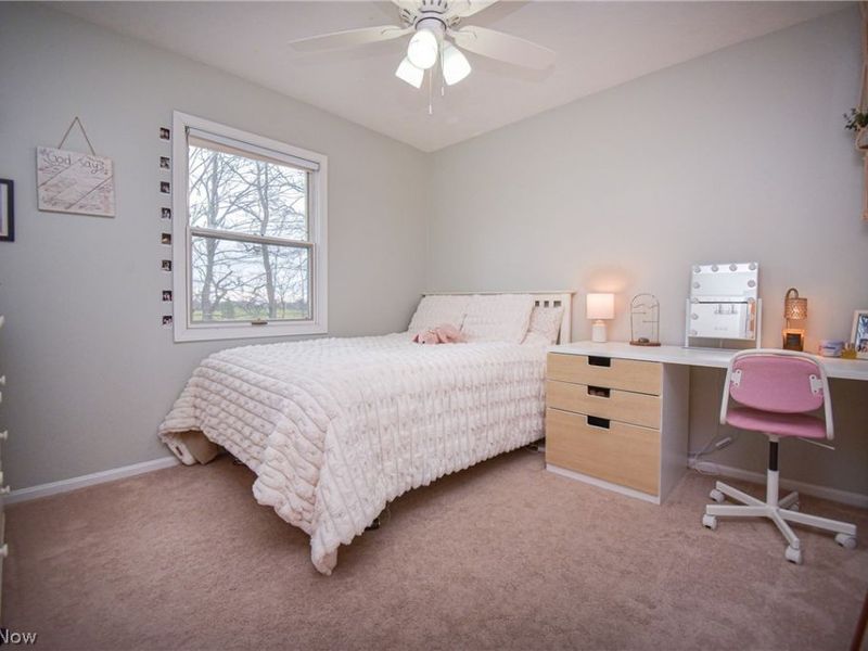 4702 Paradise Road, Seville, OH 44273 Photo 28