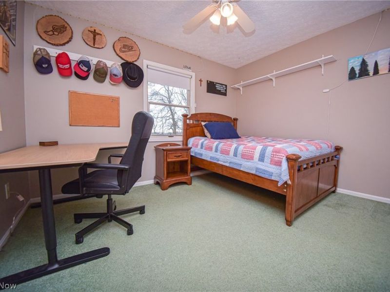 4702 Paradise Road, Seville, OH 44273 Photo 33