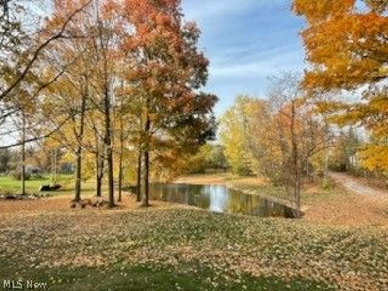 4702 Paradise Road, Seville, OH 44273 Photo 45